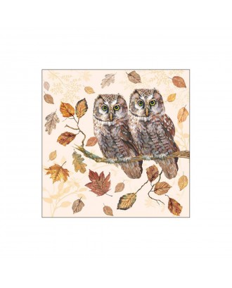 Servetele de masa, 20 buc, 33x33 cm, Owl Couple - AMBIENTE